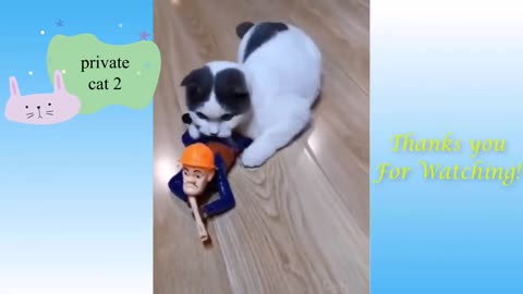 Cute and funny