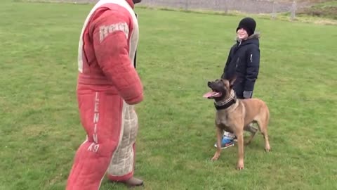 Personal/Family protection dog training