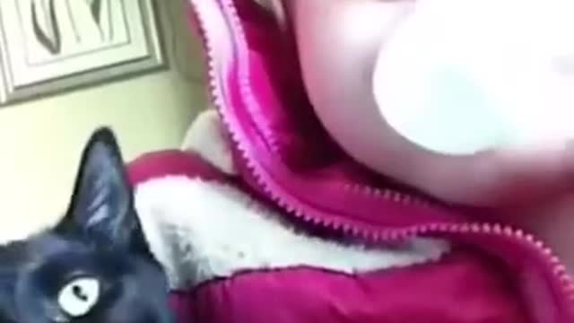 Try Not to Laugh - Pets Edition