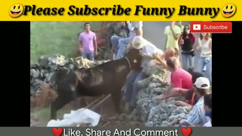 funny videos 2020 Most awesome