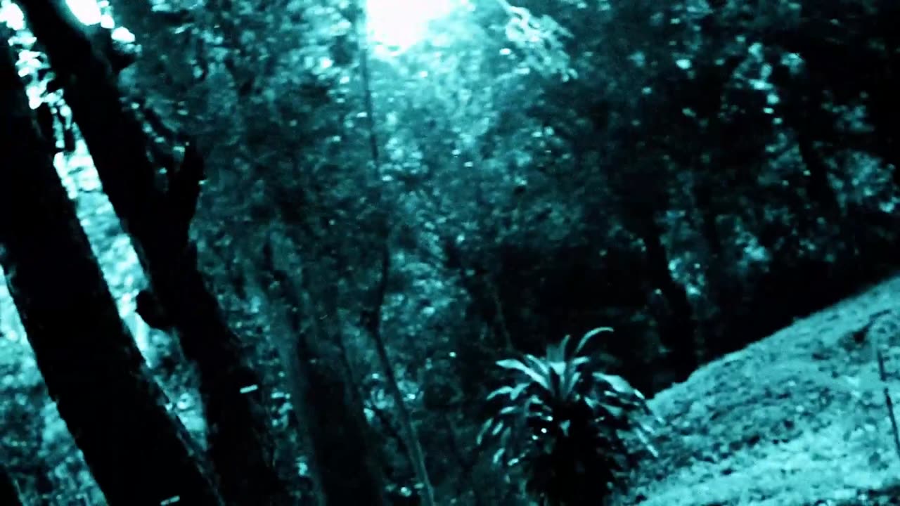 The Enigma of Pyjama Girl_ A Decade Long Mystery