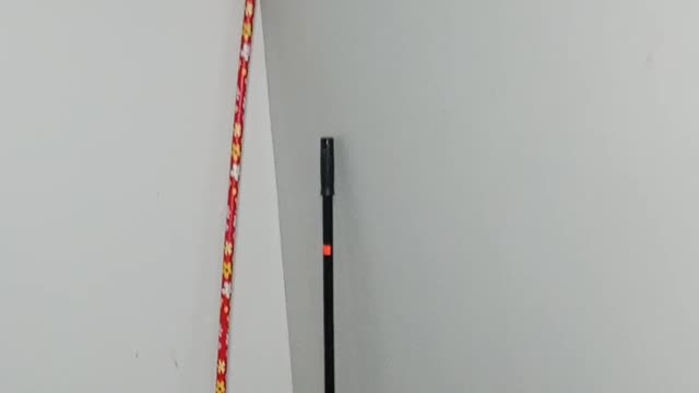 Leave the passport 🛂 brothers alone and let them be