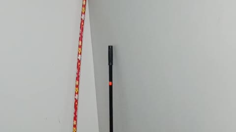 Leave the passport 🛂 brothers alone and let them be