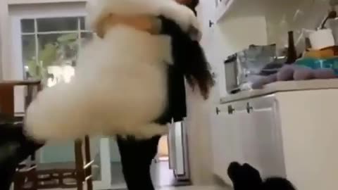 Biggy Dog