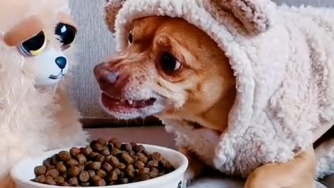 Dogs lead us into a more loving and gentle world