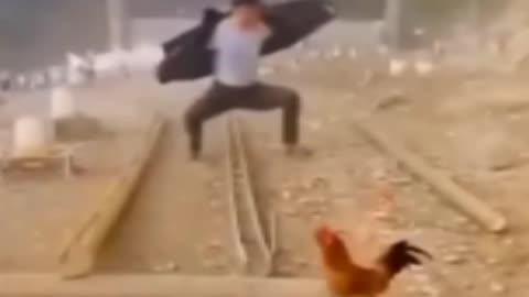 Very funny cat 🐈 and dog 🐕 video