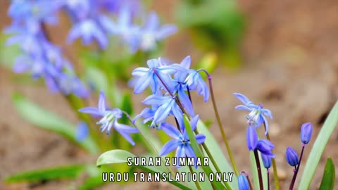 Surah Zummar | Urdu Translation | Natural Visualisation | Anxiety Buster