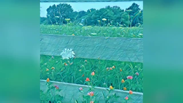 Photo To Paint