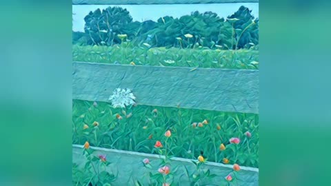 Photo To Paint