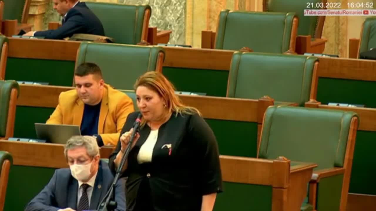 Prin montarea stâlpilor de detectare a zgomotului aduceți atingere și proprietății private