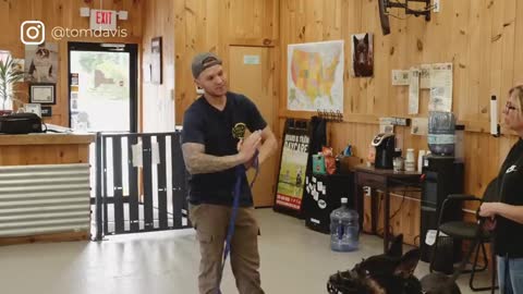 Dog aggressive training