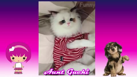 Funny funny animals