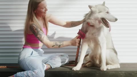 Cute and Funny Dog Videos