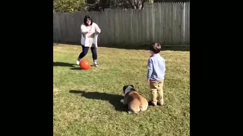 #funnydogs #funnyChallenge - Best Funny Animal Compilation 2019 | Funny Dogs, Funny Cats Videos Eve