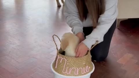 Welcome home Minnie