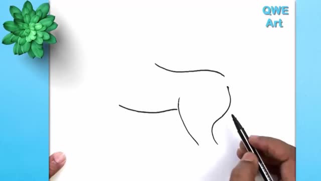 Outline The Outline Of The Horse's Body.