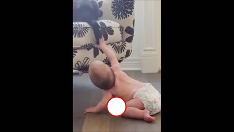 CAT AND BABIES FUNNY VIDEOS #funnyanimals #catmeme #catloversclub #kittycat #petsofinstagram #funnycatsofinstagram #pet #catlove #catscatscats #catsoftheday #funnydogs #gato #love #catvideos #ilovecats #kittensofinstagram #instacats #catsofinsta #catsofig