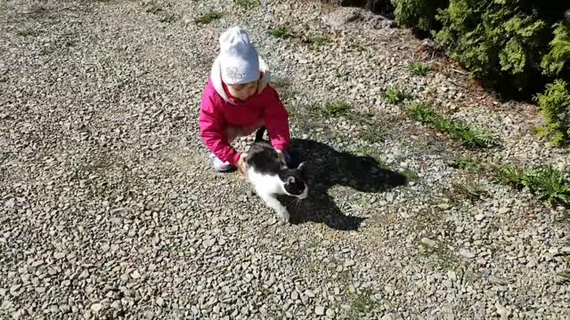 Two-Year-Old Demonstrates How NOT TO Carry a Cat!
