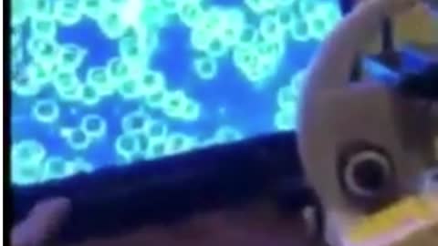 Doctor Looks At Vaccinated and Unvaccinated Blood - coin stacking