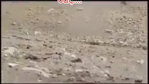 Και όμως συμβαίνει