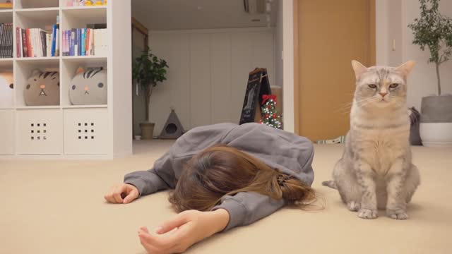 Cat reaction on his owner death. Will she become greedy? (FAKE DEATH)