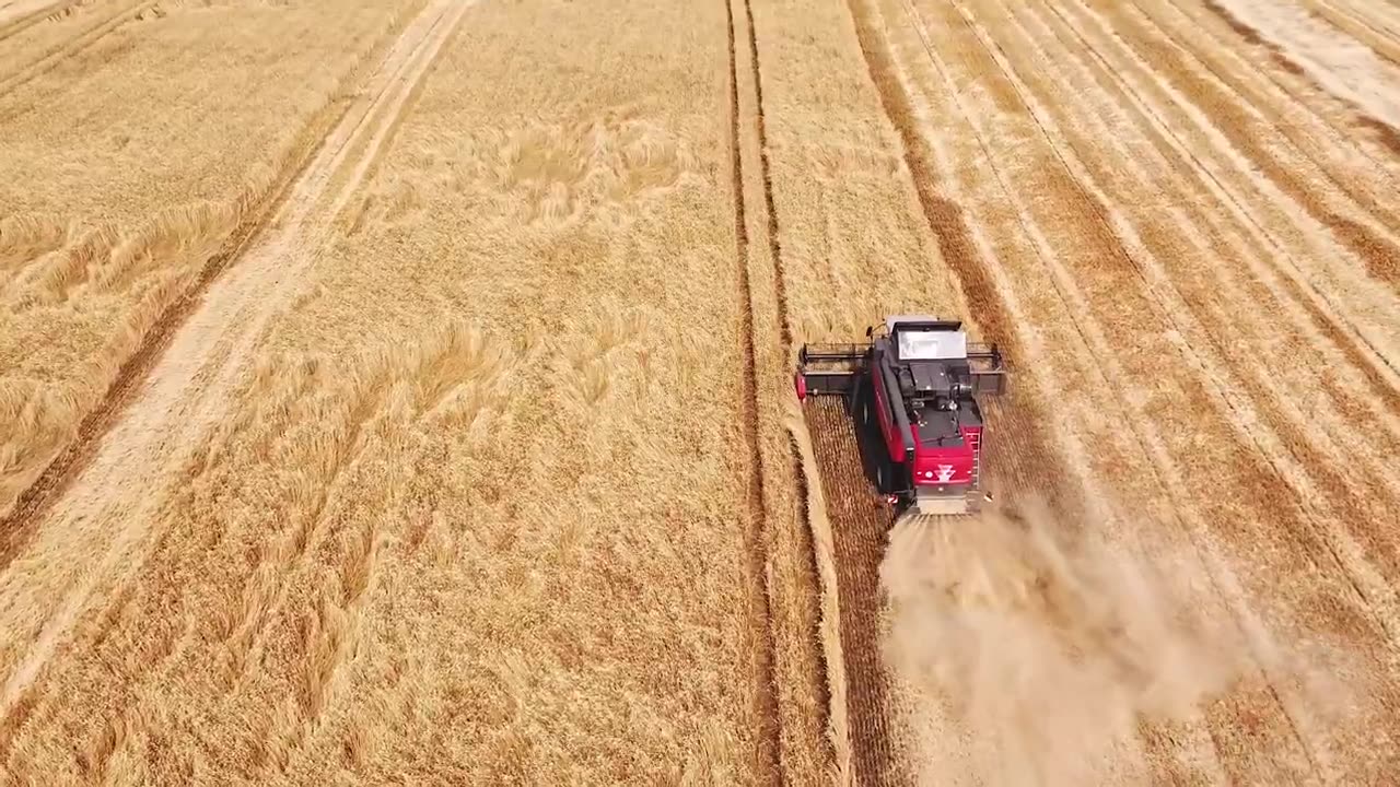 How made popcorn related different product