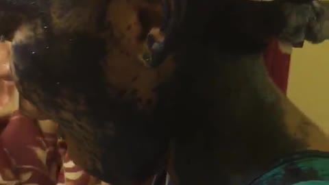 Epic hair dye fail