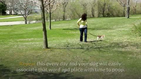 How Can You Train A Dog To Use The Toilet - Toilet Training For Small Dogs