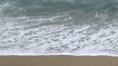 the vast sea foggy in the morning