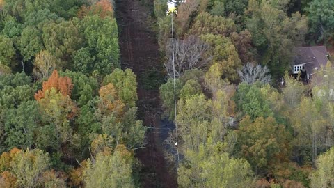 Tree Trimming 4