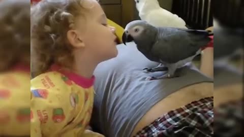 Cute_Bird_Falling_in_Love_with_Baby_-_Funny_Parrots_and_Babies_Compilation