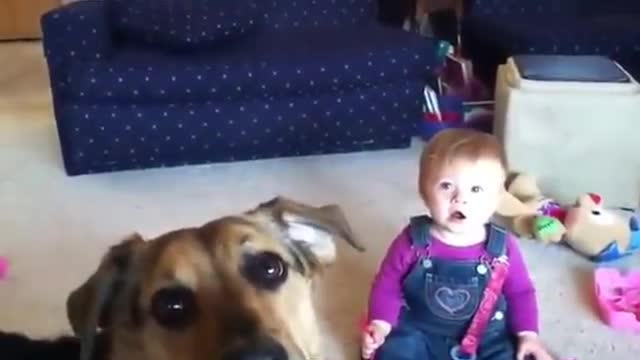 baby breaks out into hysterical laughter from seeing pet dog catch bubbles,lol