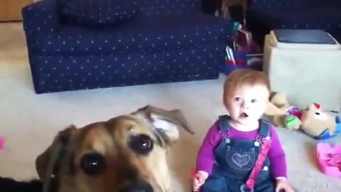 baby breaks out into hysterical laughter from seeing pet dog catch bubbles,lol