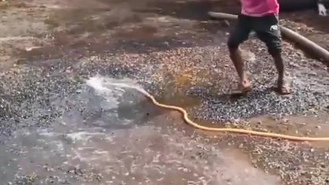 Funny video