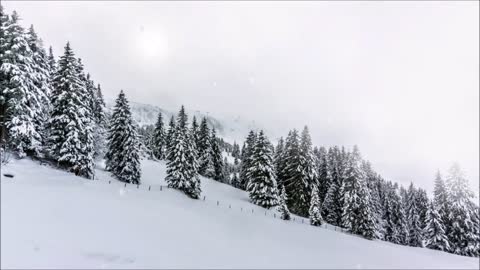 ''So Exhilarating to watch snow falling must watch''