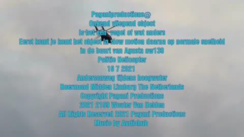Paganiproductions@ Onkend vliegend object Is het een vogel of wat anders