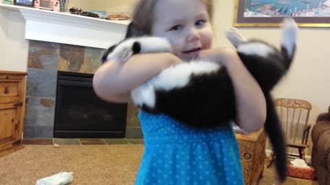 Toddlers and Kittens
