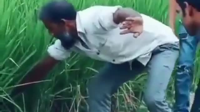 How To Catch Cobra. So Easy