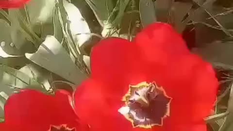 Весна на Украине
