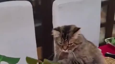 Gotta work on that hot summer body