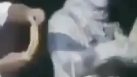 funny video