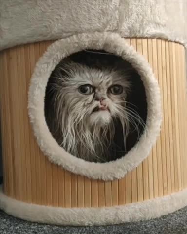 How I look forward to Monday mornings