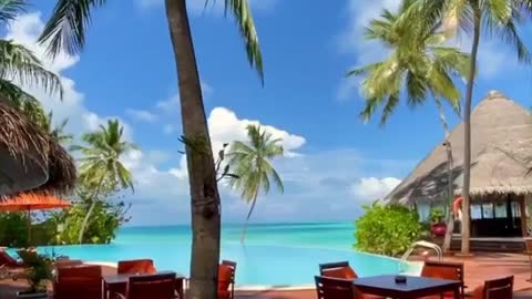 Chilling In Paradise