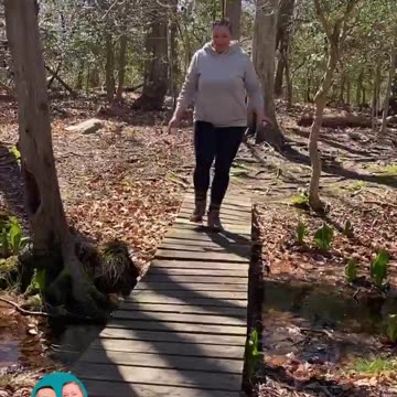 SEARCHING FOR SEALS!