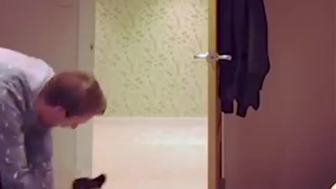 Play with dogs don't miss watching 🐶🐕