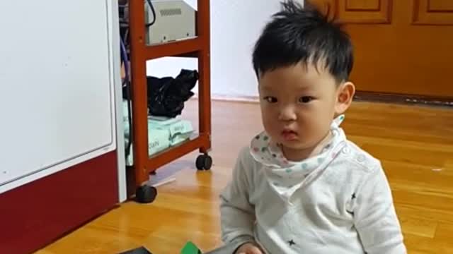 This is a video of a baby playing with a book.