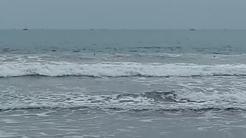 The Seconds of 3 People Being Carried by the Waves on the Beach