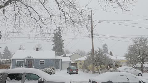 Snow In WA