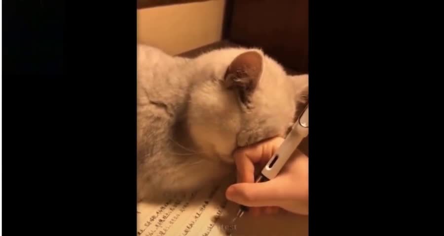 No! You Cannot Write