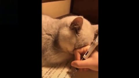 No! You Cannot Write